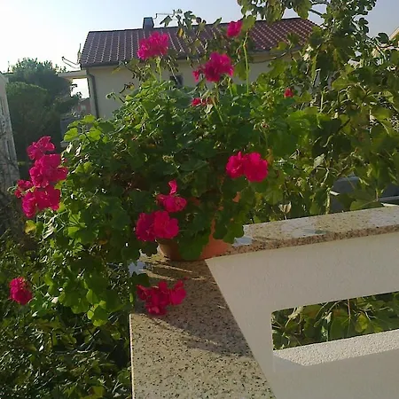 Apartment Nihada